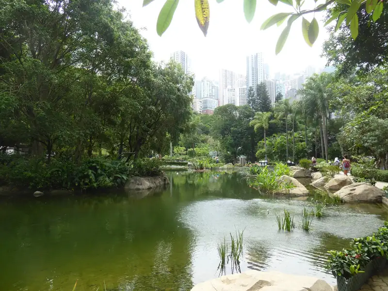 香港公園綠樹環繞嘅湖