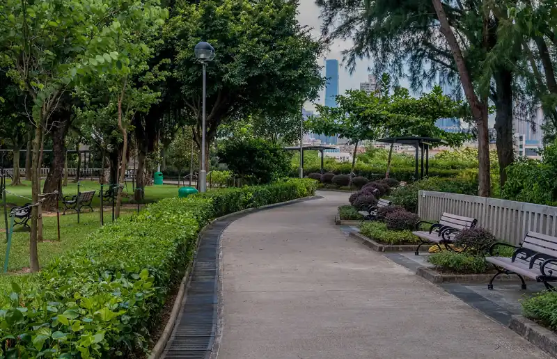 香港公園有長櫈嘅林蔭小徑