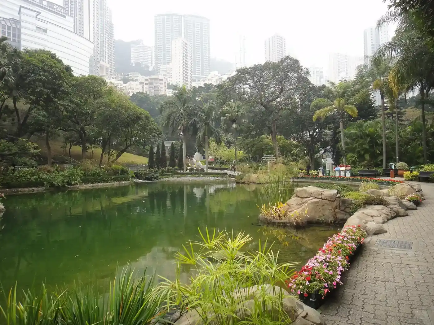 香港公園水池、石景同花卉,背後係高樓