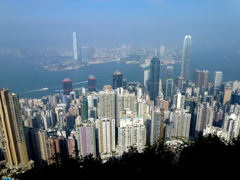 山頂環迴步行徑樹叢間望見中環摩天大廈同維港
