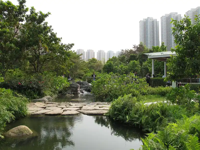 香港濕地公園溪畔漫遊徑,有踏腳石同綠樹