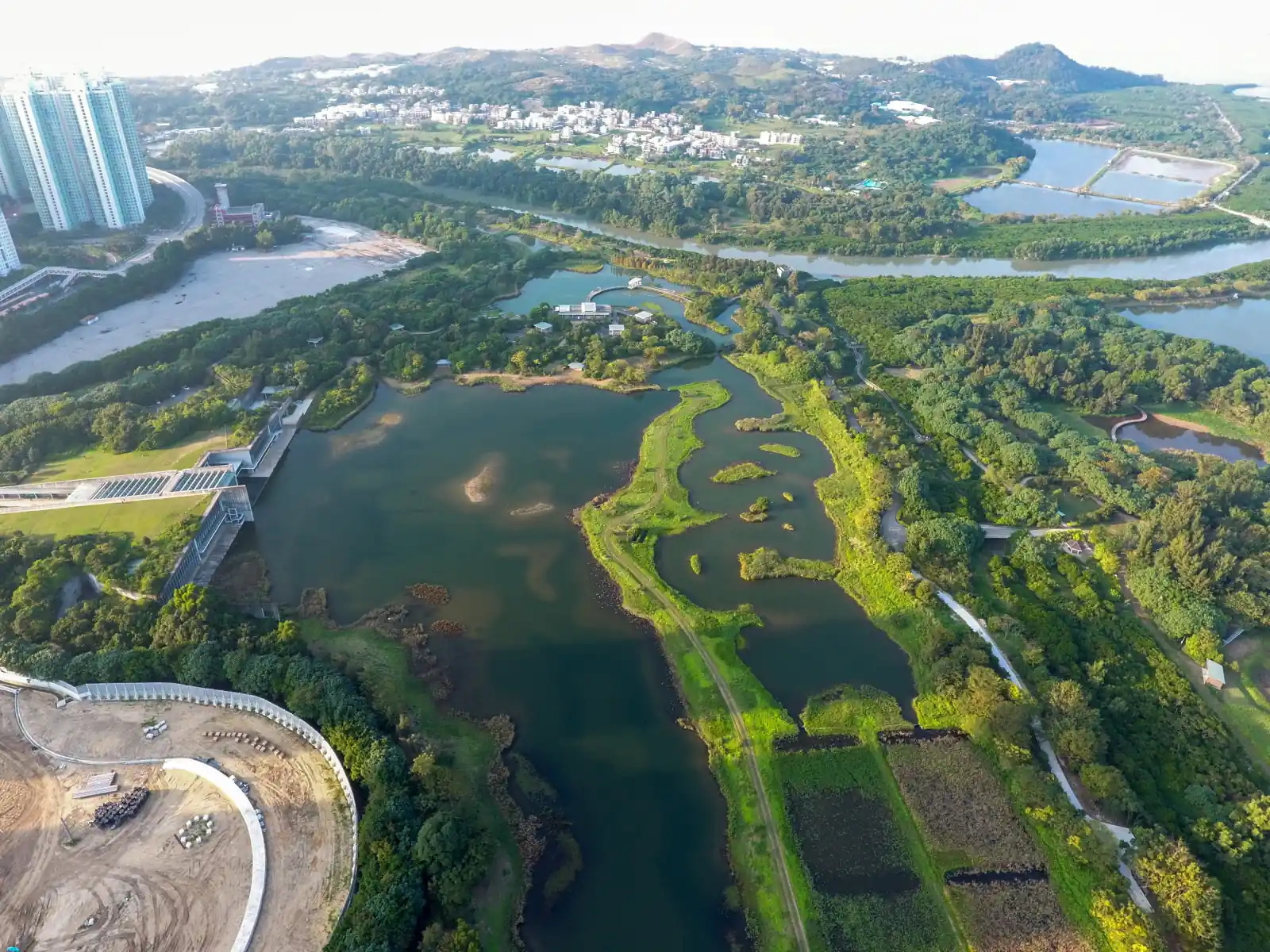 從高空望香港濕地公園嘅水塘同濕地